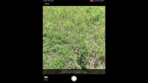 Pioneer Seeds App Threat ID