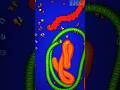 Worms zone io!  Saamp wala game!  #games #shorts #trending