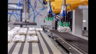 Dedicated 3D Grippers of Andropack's Case Packers