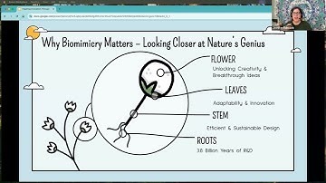 CEE 2025 Inspiring Innovation Through Nature Harnessing Biomimicry for Creativity Jennifer Babcock