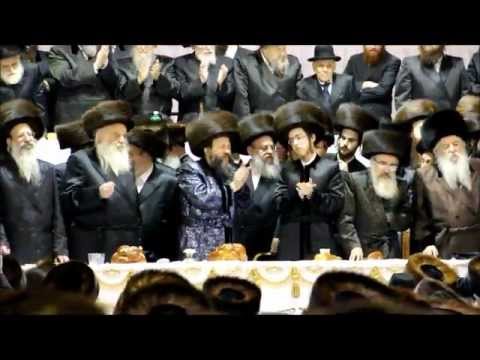 Bobov Wedding February 08 2012