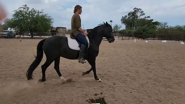 Jason Fennell & Xheril English Equitation 13 & Ove...