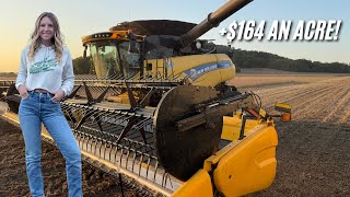 видео: СЕКРЕТ выращивания БОЛЬШИХ соевых бобов (+15 БУШЕЛЕЙ?!) картинка: СЕКРЕТ выращивания БОЛЬШИХ соевых бобов (+15 БУШЕЛЕЙ?!)