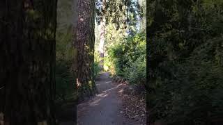 Walk through Laurelhurst Park