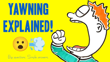 Why Do We Yawn? | Yawn Science