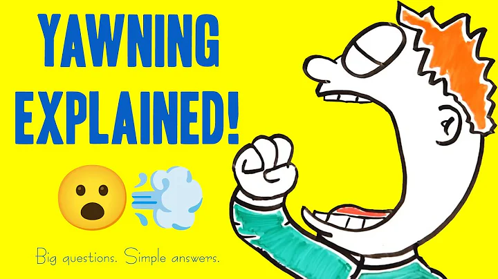 Why Do We Yawn? | Yawn Science