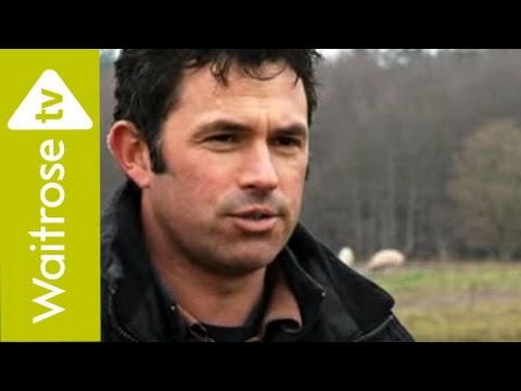 A day in the life of a Waitrose pig farmer | Waitrose