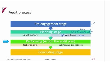 Performing - Part 1: Audit process
