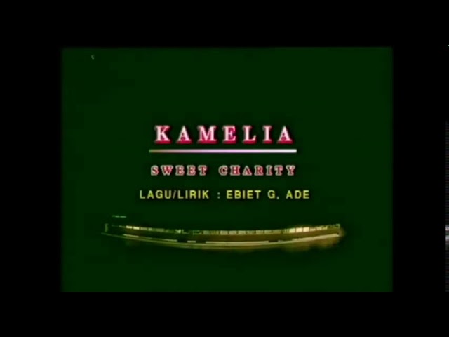 kamelia sweet charity karaoke lirik class=