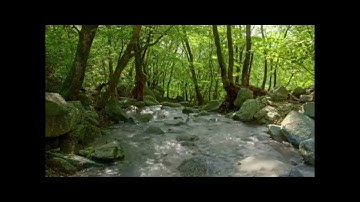 مقتطفات من سورة ق .....أحمد فرج عبد السلام