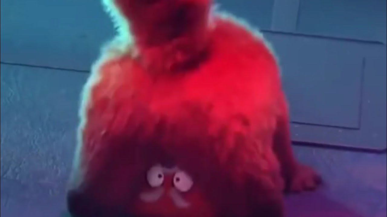 Twerking Red Panda Youtube Twerking Red Panda Youtube