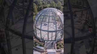 Circular Base + Dome Structure #electronicmusic #wood #lifeisbutadream #diy