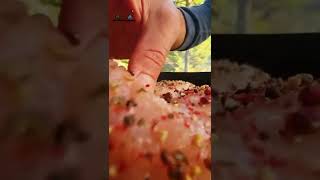 Forest Salsa Chicken ? #shorts #menwiththepot #cooking #asmr #food #fire #nature #life #relax