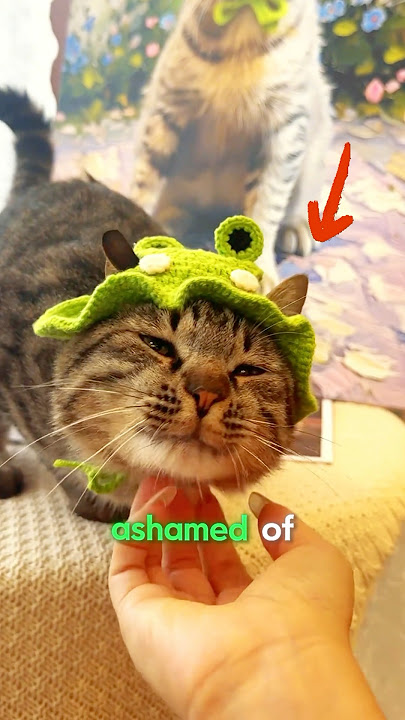 His Meow Sounds Like a Frog 😹🐸