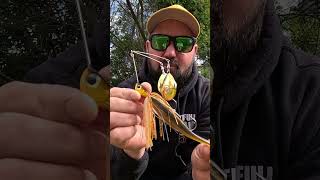 Famous What COLOUR? Spinnerbait For Murray Cod  #fishing #murraycod #spinnerbait Net Worth