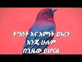 ትግስት እና እምነት ይኑርህ እንጅ ሁሉም በጊዜዉ ይሆናል