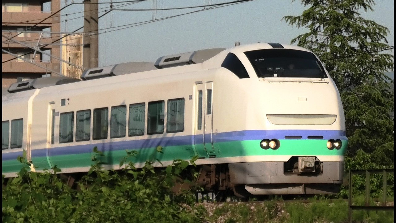 特急しらゆき8号【4K】E653系H202編成信越本線上り58M - YouTube
