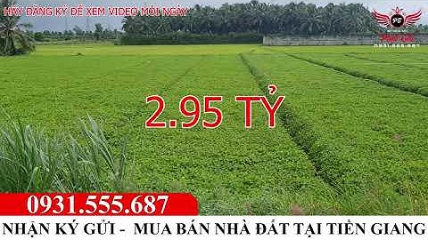 Bán Đất Thân Cửu Nghĩa, Châu Thành, Tiền Giang diện tích 10*69 giá 2.95 tỷ - 0931.555.687