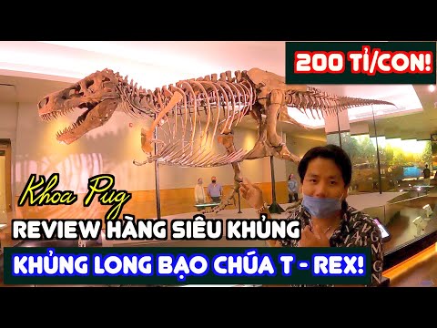 Video: Bảo tàng khủng long nổi tiếng nhất thế giới ở đâu?