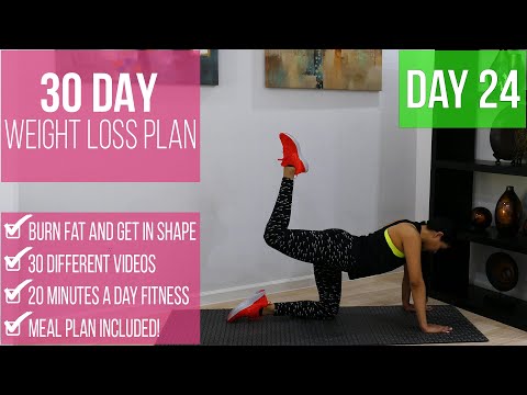 30-day-weight-loss-program-day-24-|-under-20-minutes-per-day-|-burn-fat-get-in-shape-|-fitnessbynena