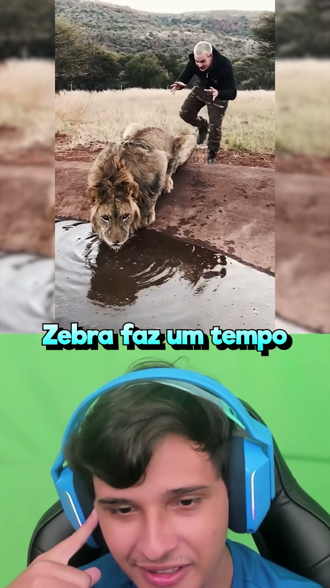 Esse aí brinca...