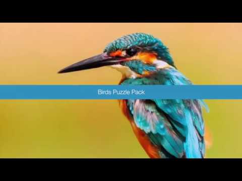 Birds Puzzle Pack | Hexa Word Search | June 2018