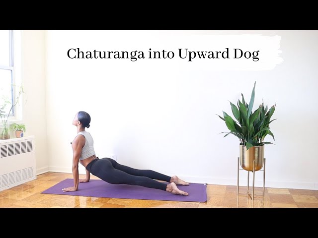 Um papo ultrapassado : CHATURANGA 