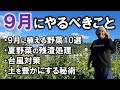 【家庭菜園/自然農法】９月にやるべきこと