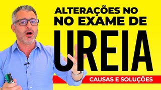 UREIA ALTA: o que significa? 🩸