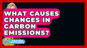 What Causes Changes In Carbon Emissions? - Weather Watchdog
