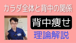 背中痩せするための、からだ全体をみようっていう理論解説