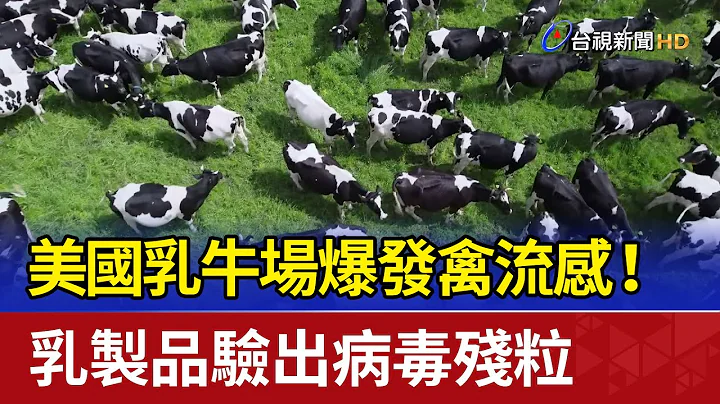 美國乳牛場爆發禽流感！ 乳製品驗出病毒殘粒 - 天天要聞