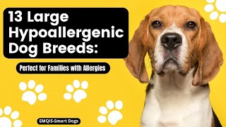 Top 13 Large Hypoallergenic Dog Breeds: Perfect for Families with Allergies