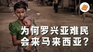 【大包子】缅甸难民冒生命危险也要过来大马，抵达后却成为全马公敌！