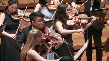 ENESCU Octet for Strings Op. 7 | On the Beautiful Danube @ YST Conservatory