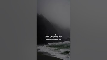 #عبدالرحمن_مسعد #سورة_النحل #راحة_نفسية #quran #explore