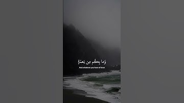 #عبدالرحمن_مسعد #سورة_النحل #راحة_نفسية #quran #explore