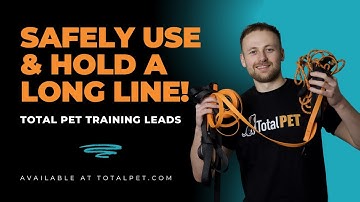 How to Safely Use and Hold a Long Line Recall Training Lead – Total Pet