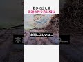 散歩に出た猫 友達の作り方に悩む