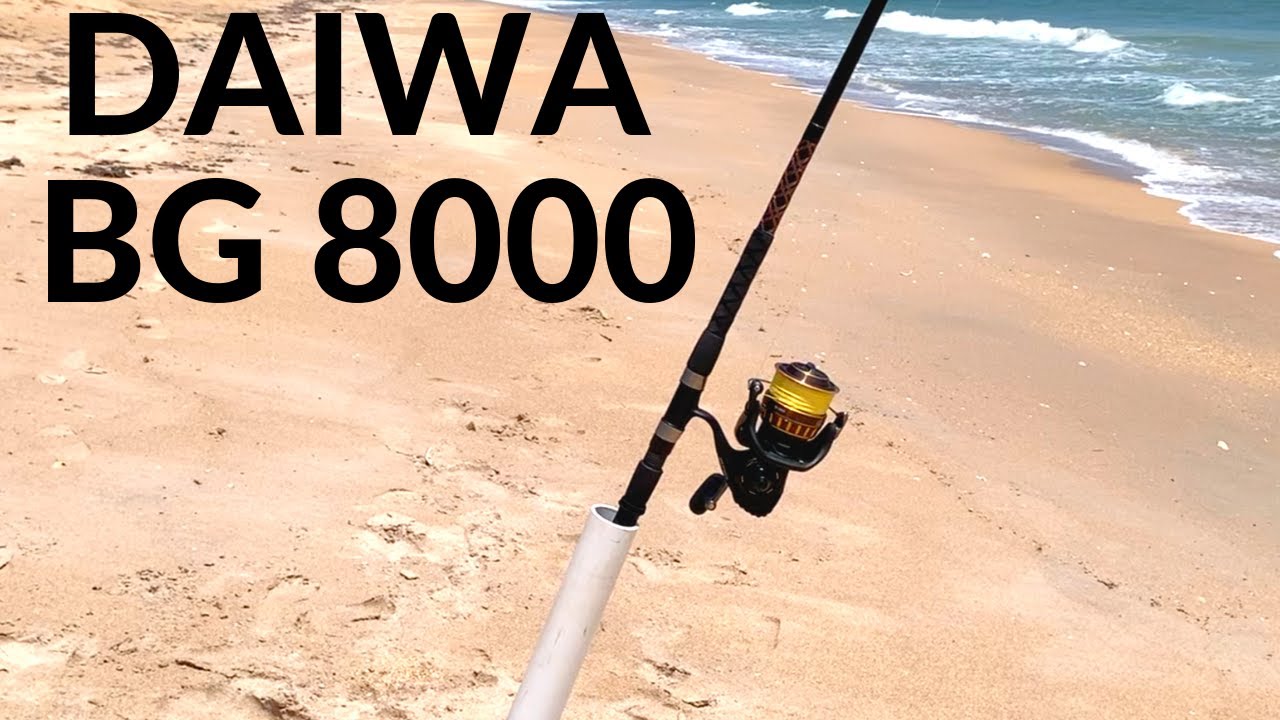 My review of the Daiwa BG 8000 as a shark reel in the surf 