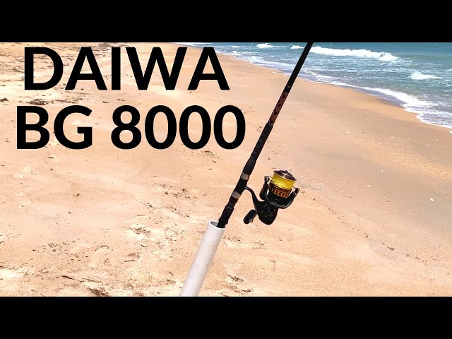 My review of the Daiwa BG 8000 as a shark reel in the surf 