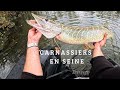 🎣TRAQUER LES CARNASSIERS  EN AUTOMNE 🍂 , PÊCHE EN FLOAT TUBE EN SEINE ET GRAVIÈRE