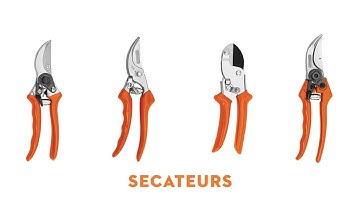 STIHL Secateurs Range | Anvil Secateurs & Bypass Secateurs | STIHL GB