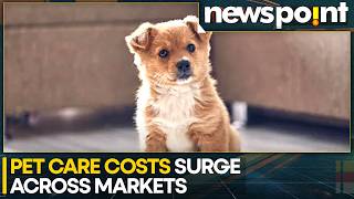 Cost Of Pet Ownership Climbs Globally Pet ICU Care Can Cost Up To 1000 Per Night WION Newspoint