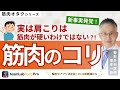 【筋肉のコリ】肩こりと筋硬度について詳しく解説します!