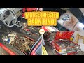 ABANDONED MOUSE INFESTED BARN FIND First Detail in Years Audi! Satisfying Car Detailing Restoration