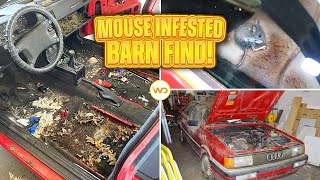 ABANDONED MOUSE INFESTED BARN FIND First Detail in Years Audi! Satisfying Car Detailing Restoration