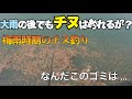 【天草】梅雨時期のチヌ釣り！大雨の後でもチヌは釣れるの？？