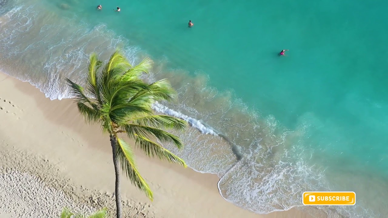 1 Hour - Tropical Beach & Gentle Birds/Waves ASMR Sounds - relaxing, meditation, sleep to nature