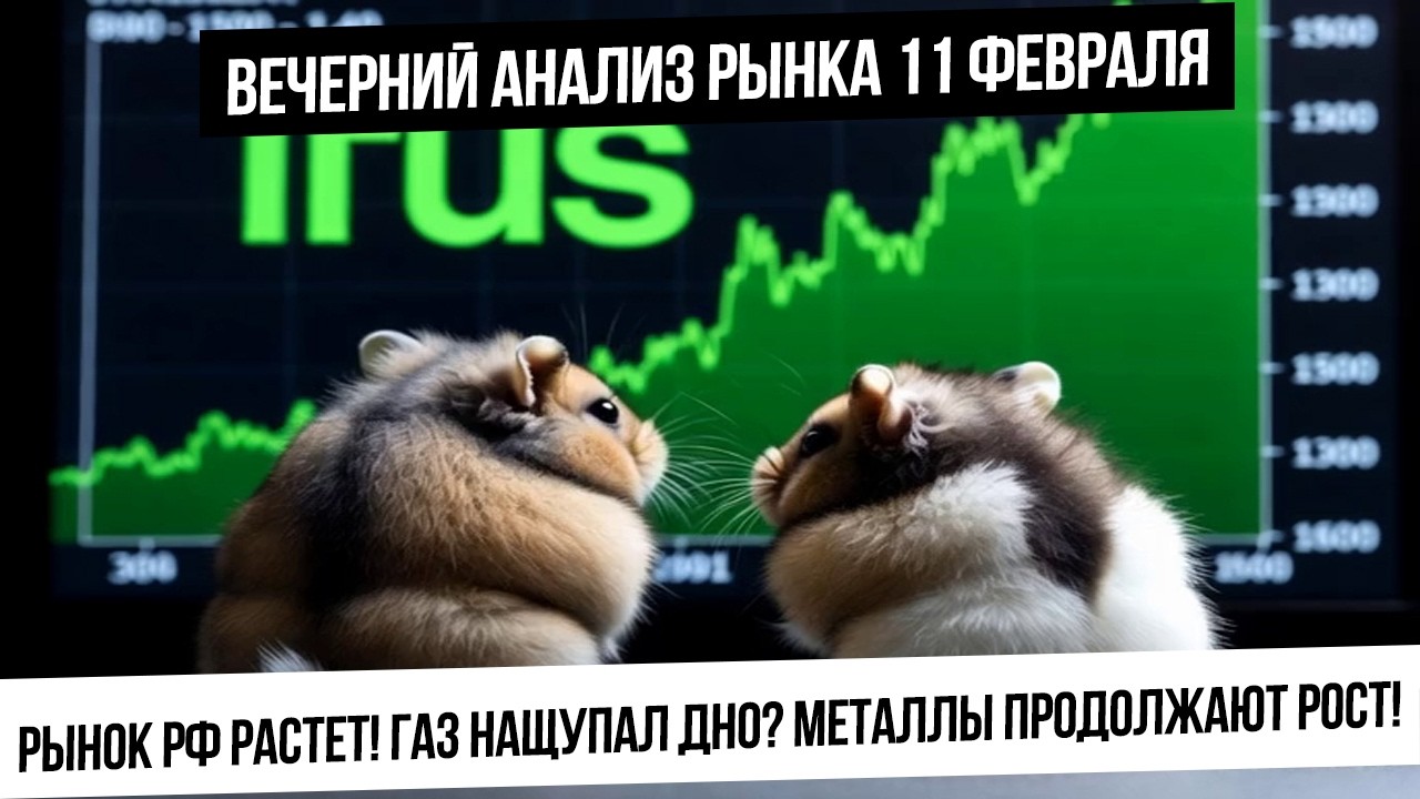 Вечерний анализ рынка 11 февраля. Рынок РФ растет, но есть нюанс. S&P500 и металлы готовы падать?